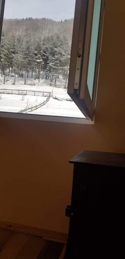 Guesthouse Caucasus Mestia Dış mekan fotoğraf