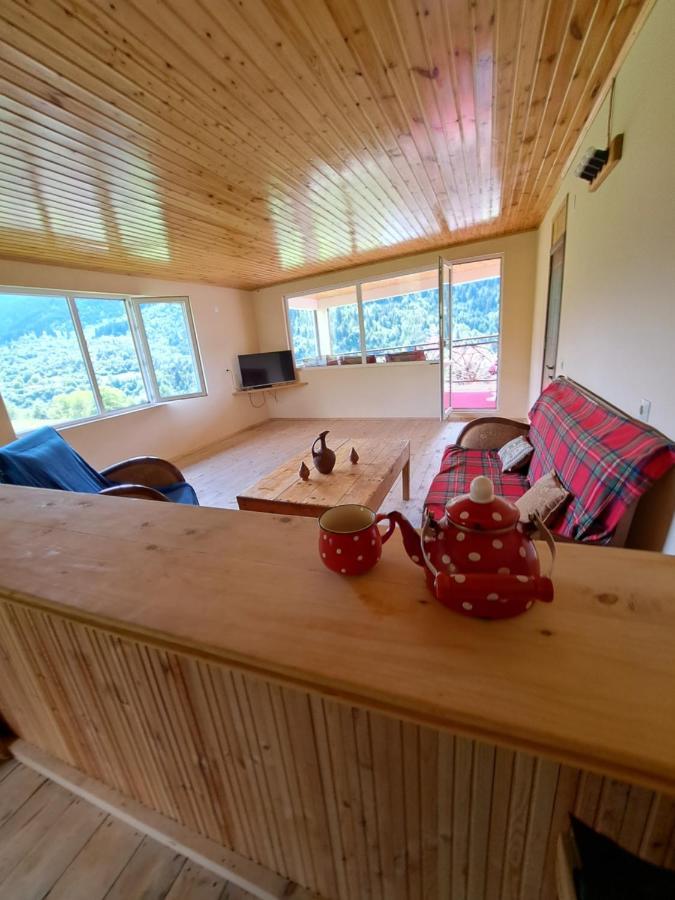 Guesthouse Caucasus Mestia Dış mekan fotoğraf